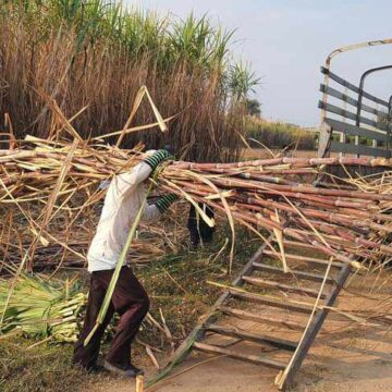 ပြည်တွင်းသကြားဈေးမြင့်တက်လာတာကြောင့် လာမည့်ကြံရာသီတွင် ကြံတစ်တန် ငွေကျပ် ၁၁၀၀၀၀ ထိ တိုးမြင့်ဝယ်ယူမည်ဟုဆို