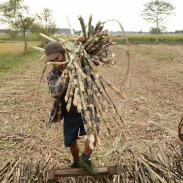 ကြံတစ်တန်ဈေး ထပ်မံတိုးမြှင့်ပေးလာ