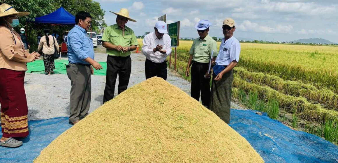 အခြေခံရည်ညွှန်းစပါးဈေးနှုန်း တင်း ၁၀၀ လျှင် ငွေကျပ် ၉၅၀,၀၀၀ သက်မှက်ကြောင်း ထုတ်ပြန်