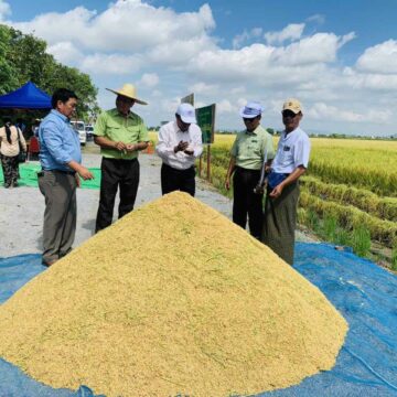 အခြေခံရည်ညွှန်းစပါးဈေးနှုန်း တင်း ၁၀၀ လျှင် ငွေကျပ် ၉၅၀,၀၀၀ သက်မှက်ကြောင်း ထုတ်ပြန်