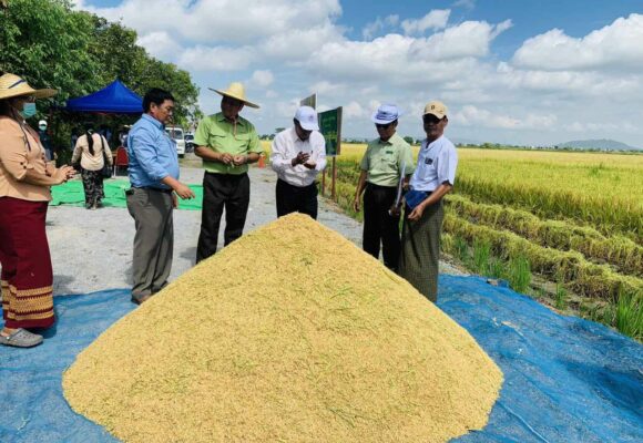 အခြေခံရည်ညွှန်းစပါးဈေးနှုန်း တင်း ၁၀၀ လျှင် ငွေကျပ် ၉၅၀,၀၀၀ သက်မှက်ကြောင်း ထုတ်ပြန်