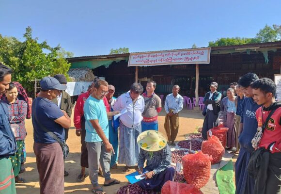 ပဲစင်းငုံ နှင့် ကြက်သွန်နီ စုပေါင်းရောင်း ချခြင်းကြောင့် တောင်သူများ ဈေး   ကောင်းရ